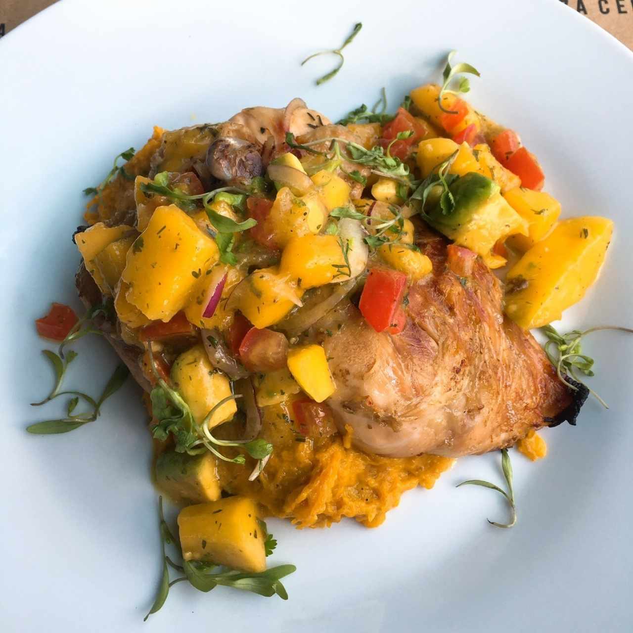 Pollo 