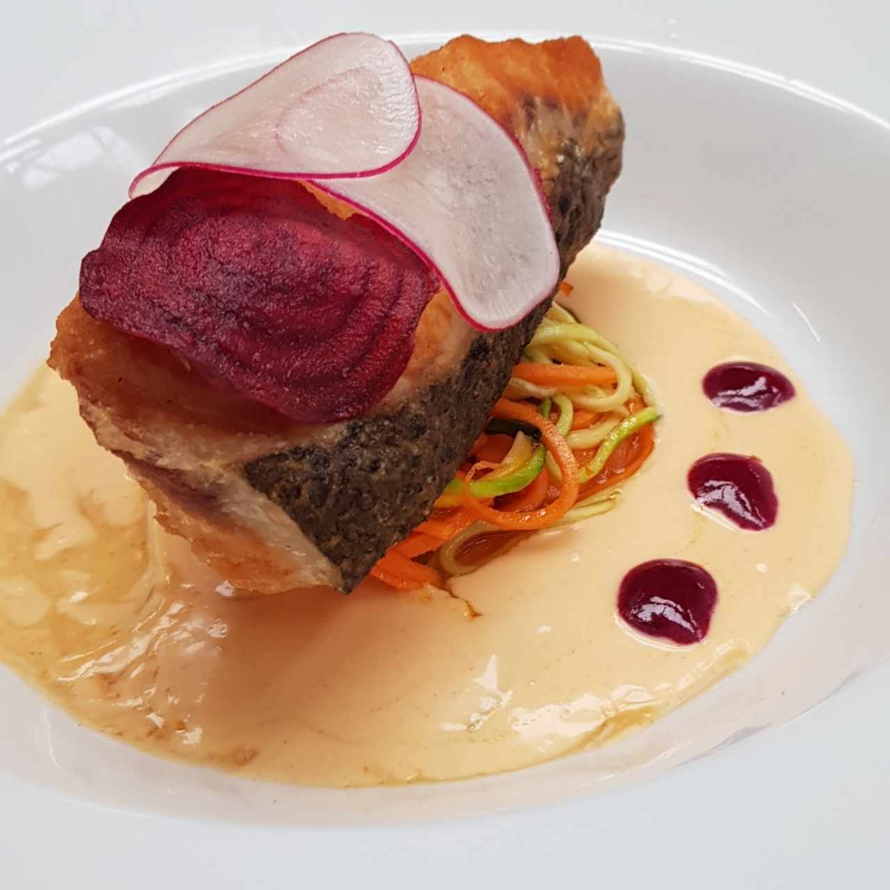 Salmon