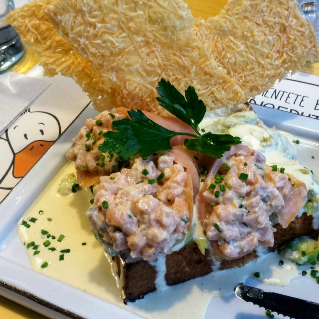 Pato de salmón 