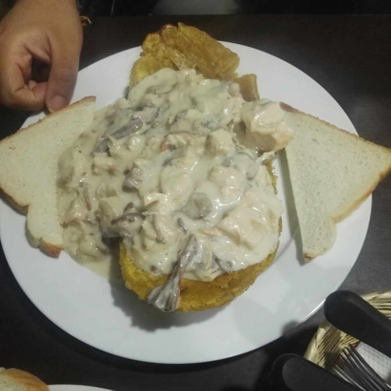 Patacón Mixto Con Salsa Bechamel