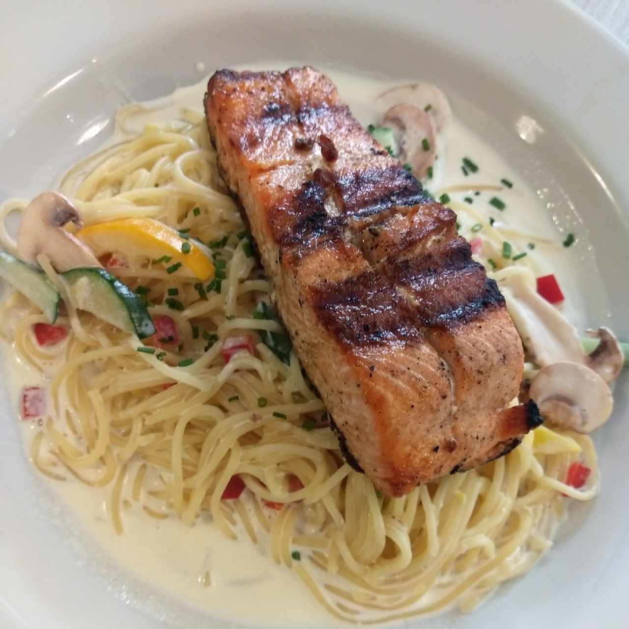 salmón 