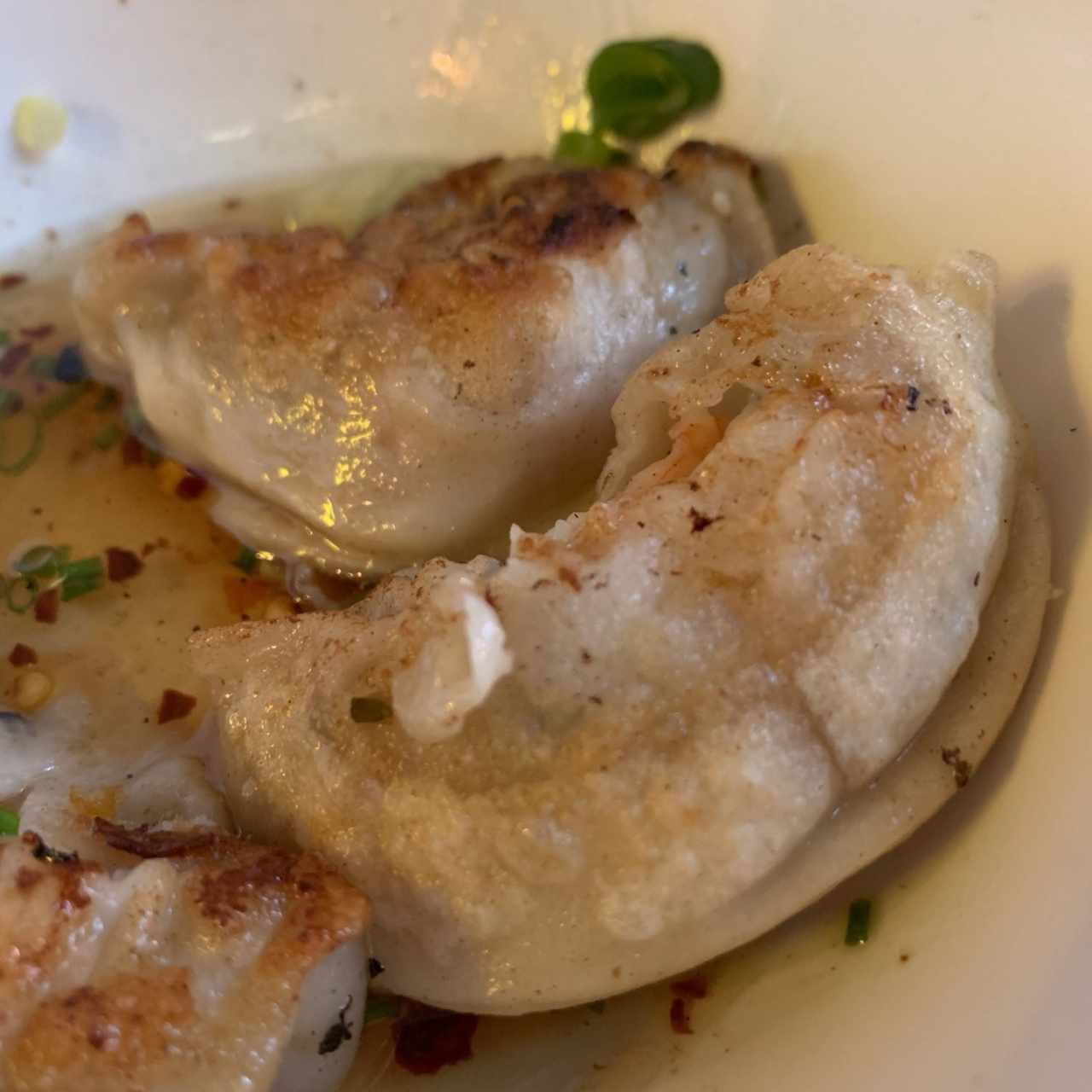 Dumplings camaron y pescado 