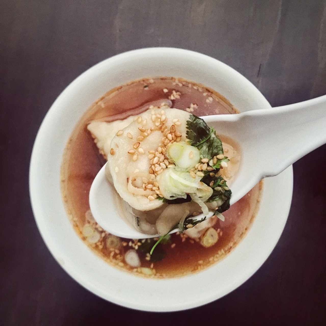 sopa de wonton