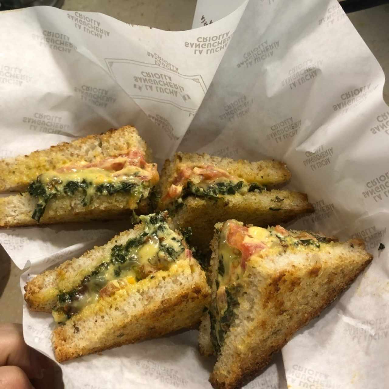 vegetariano 