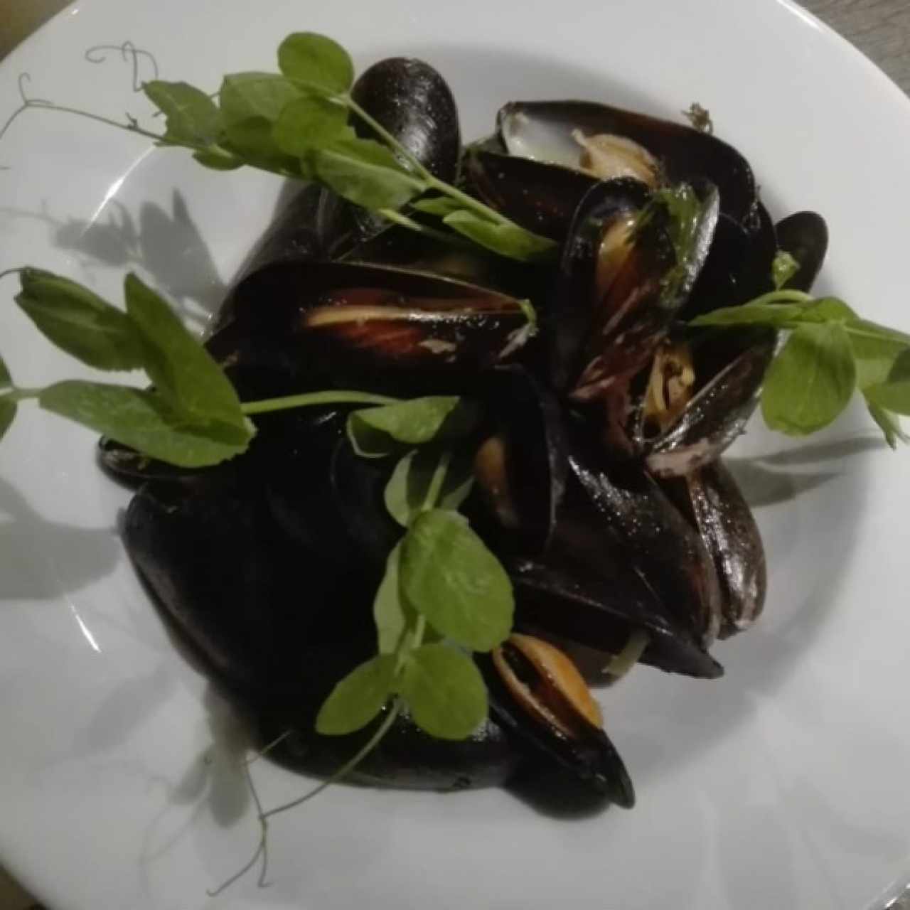 mejillones 