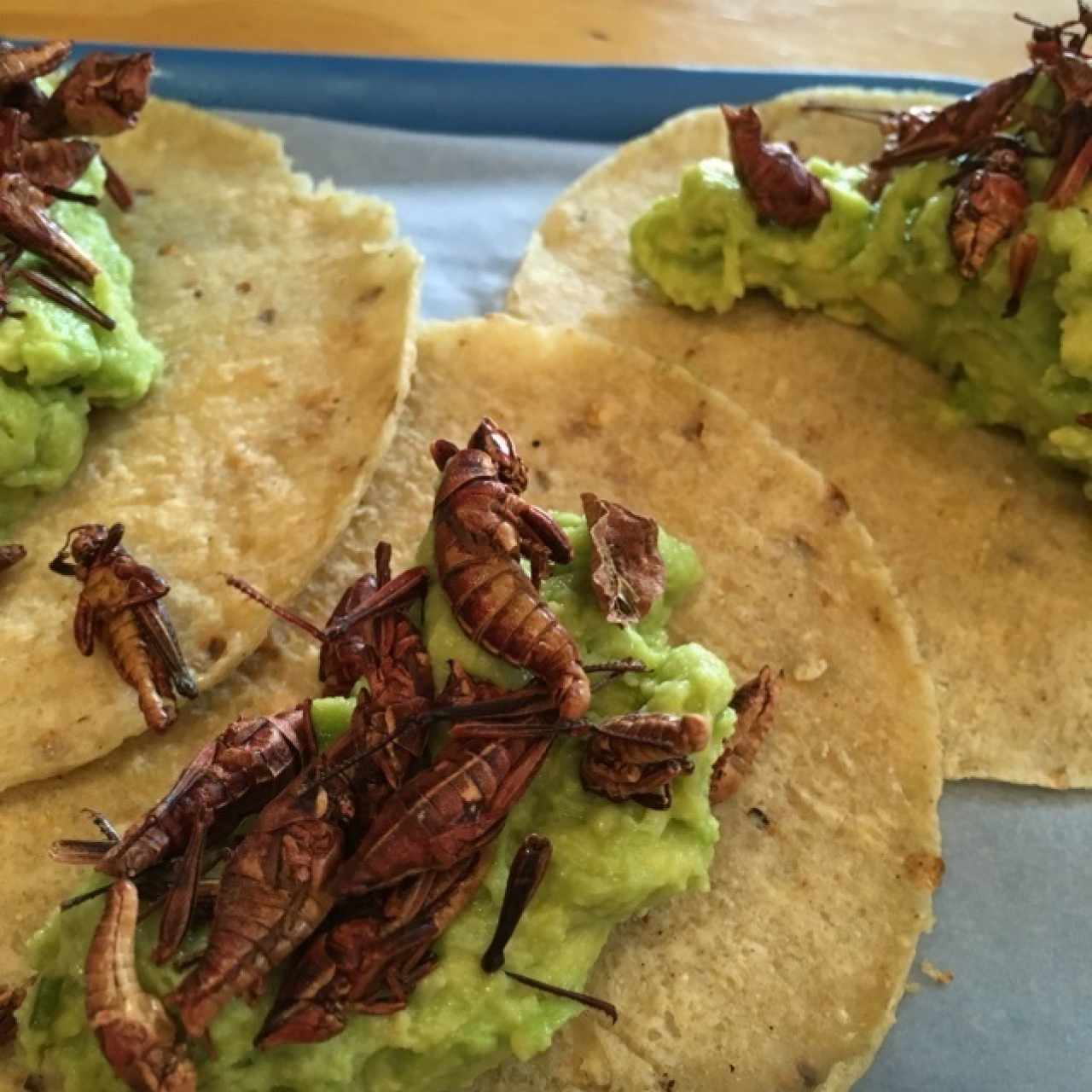 taco de chapulines 