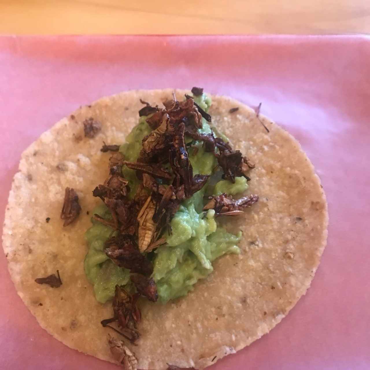 chapulines 