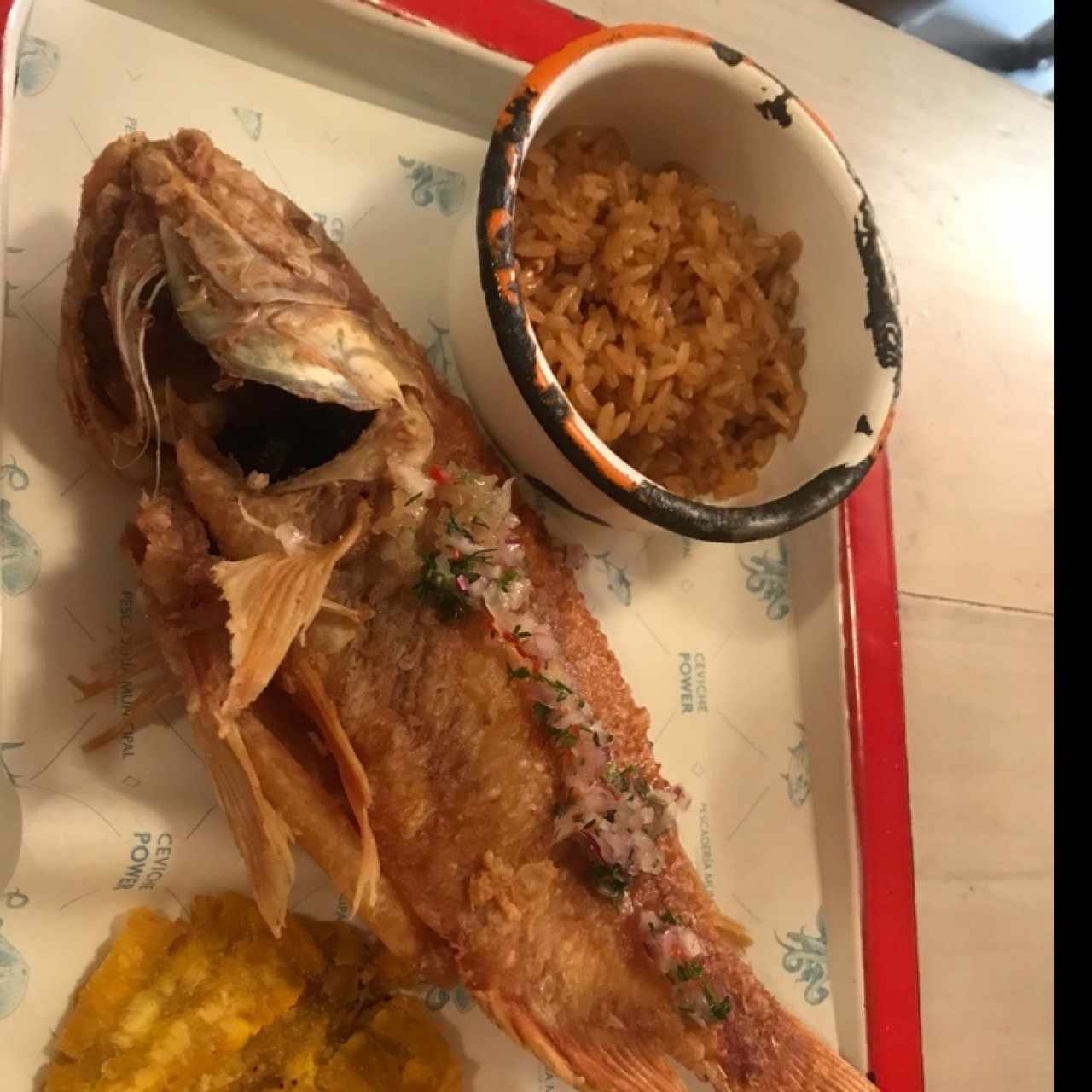 mojarra playera