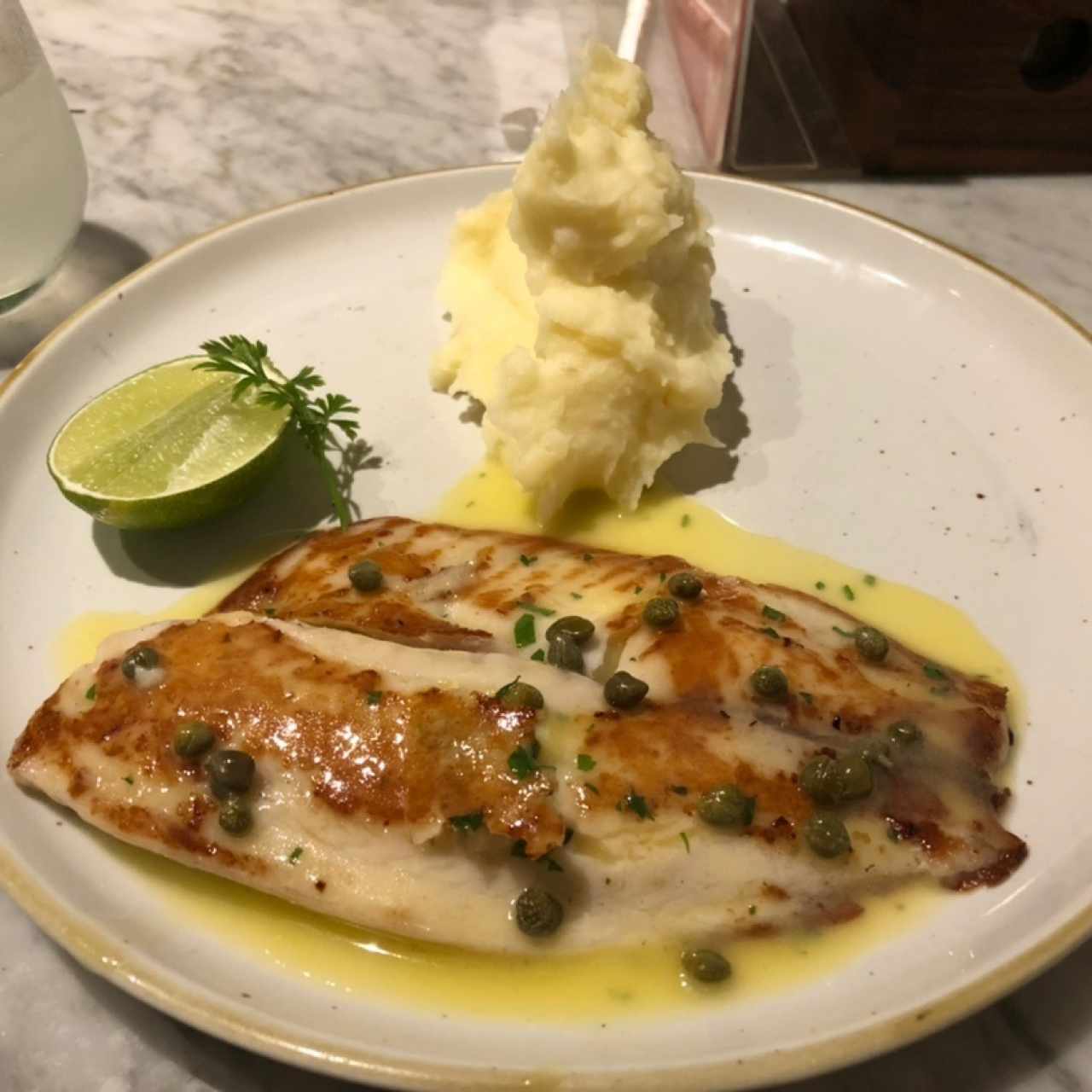 Tilapia