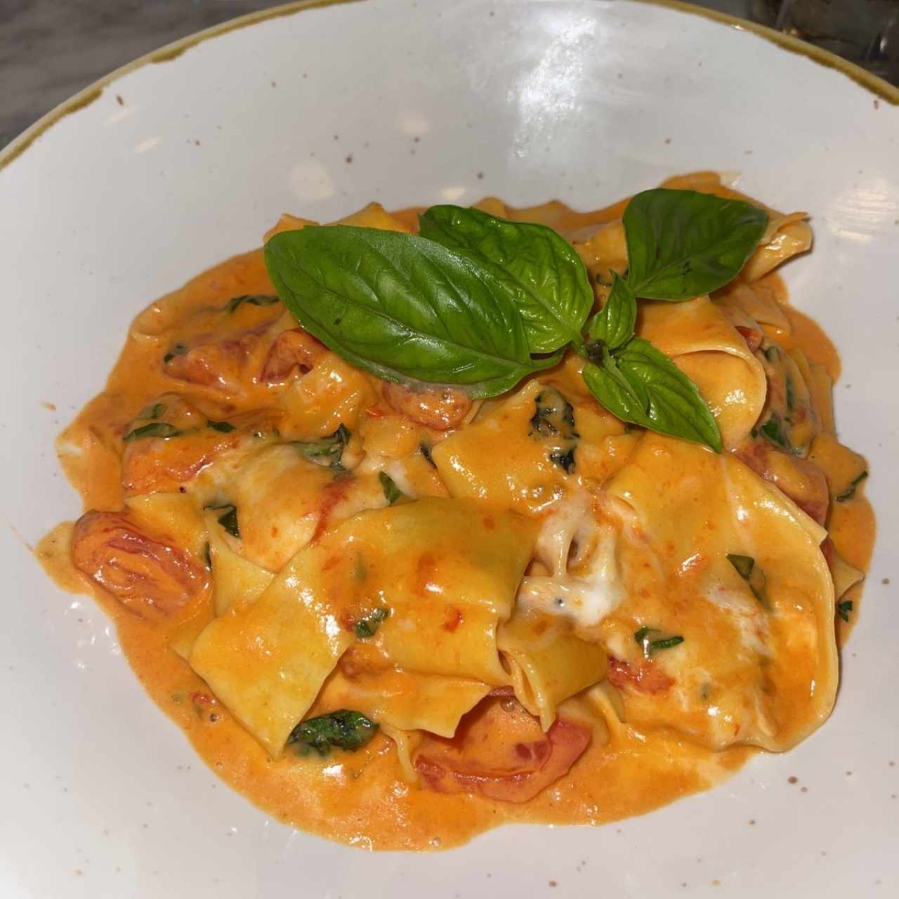papardelle