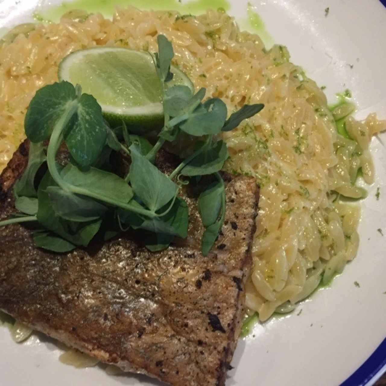 Pesca del día