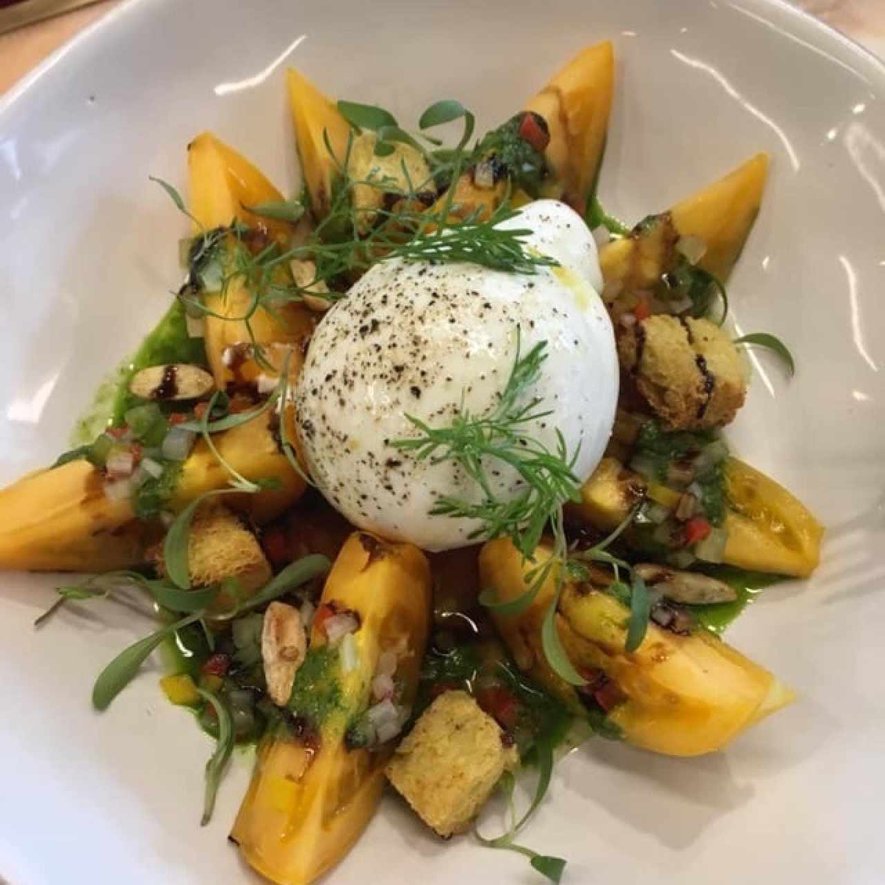 Burrata con tomate