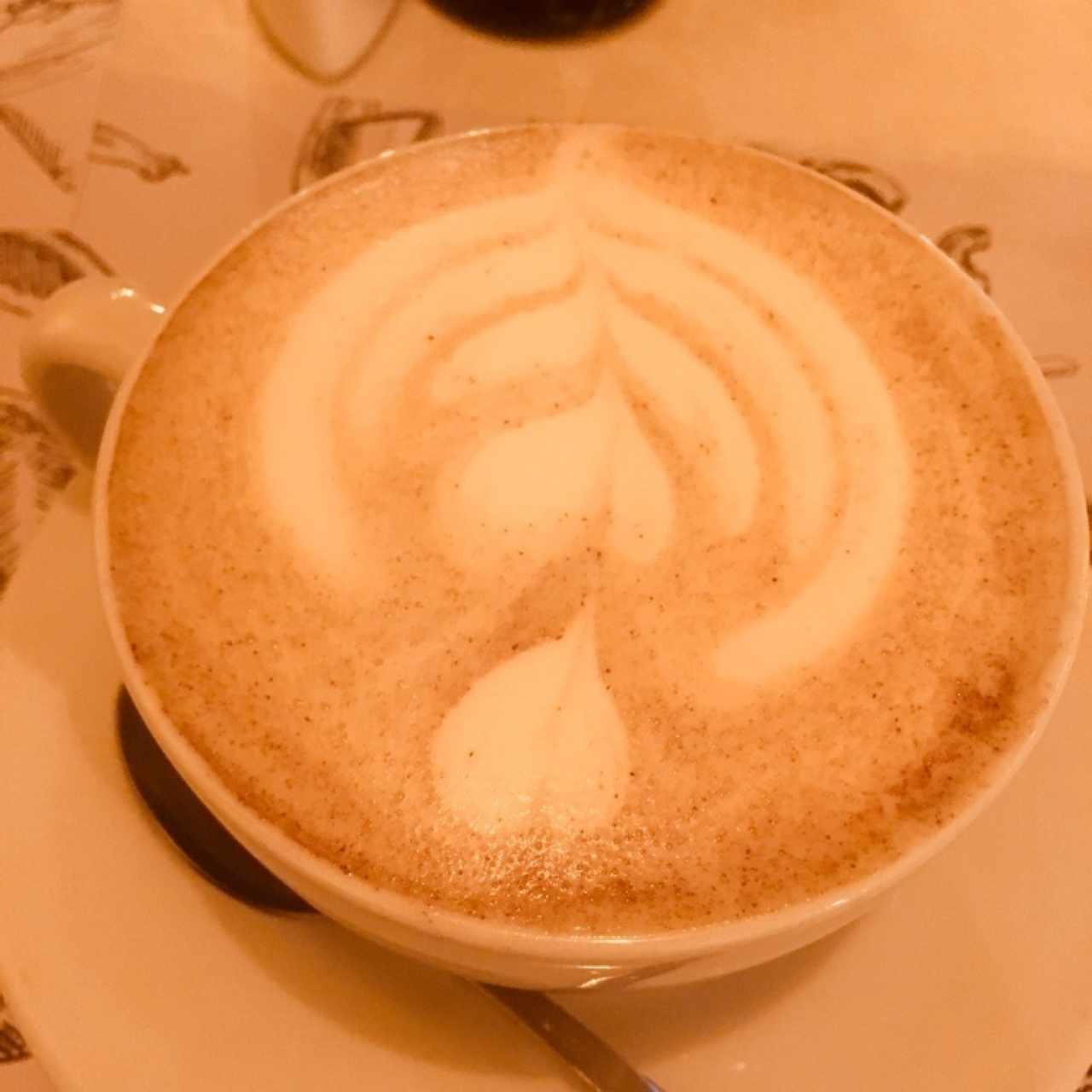 Capuchino
