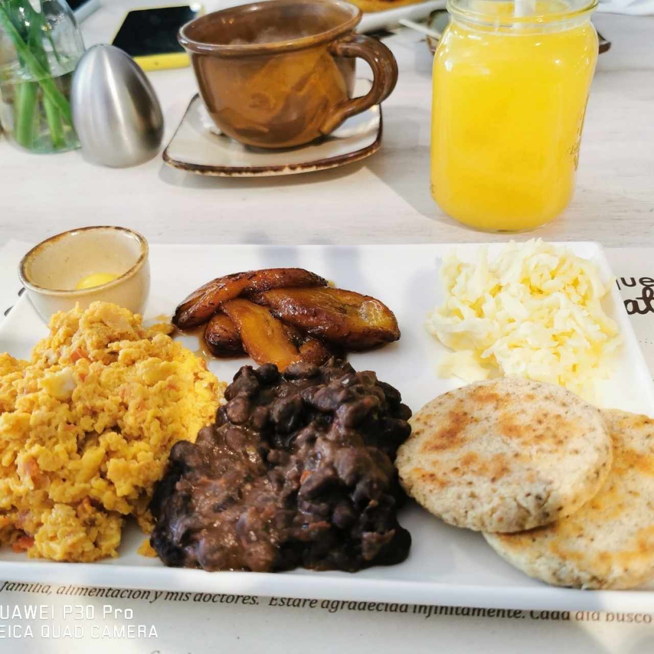 plato criollo 