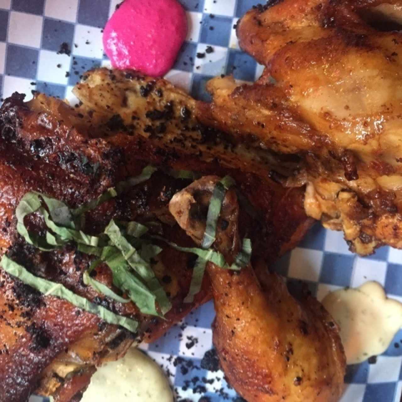 Pollo