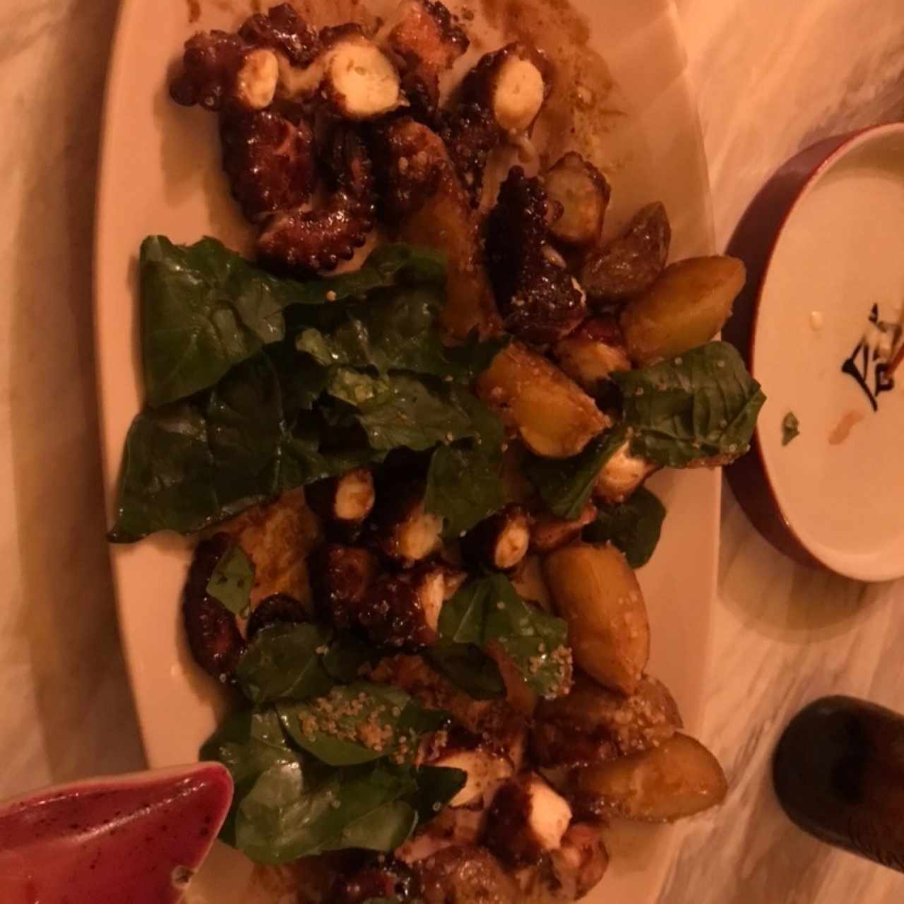 pulpo 