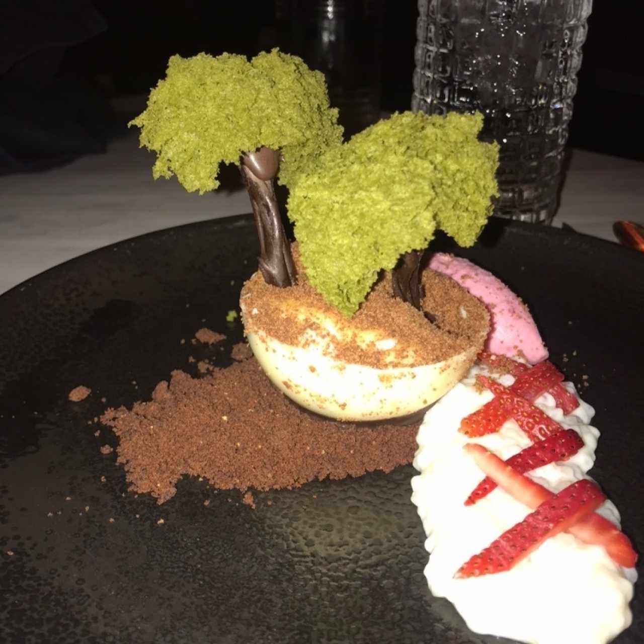 bonsai