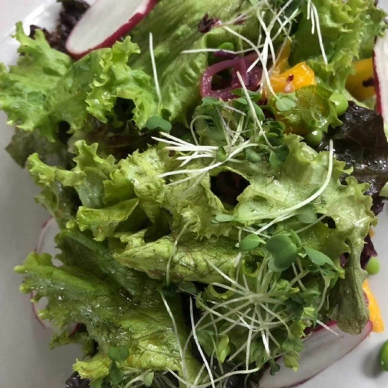 Ensalada 