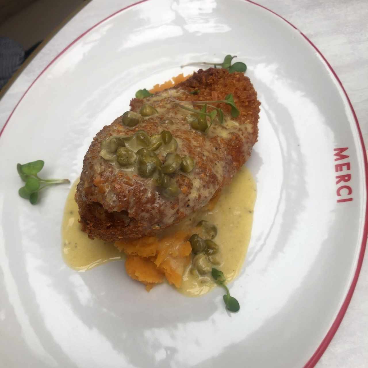pollo