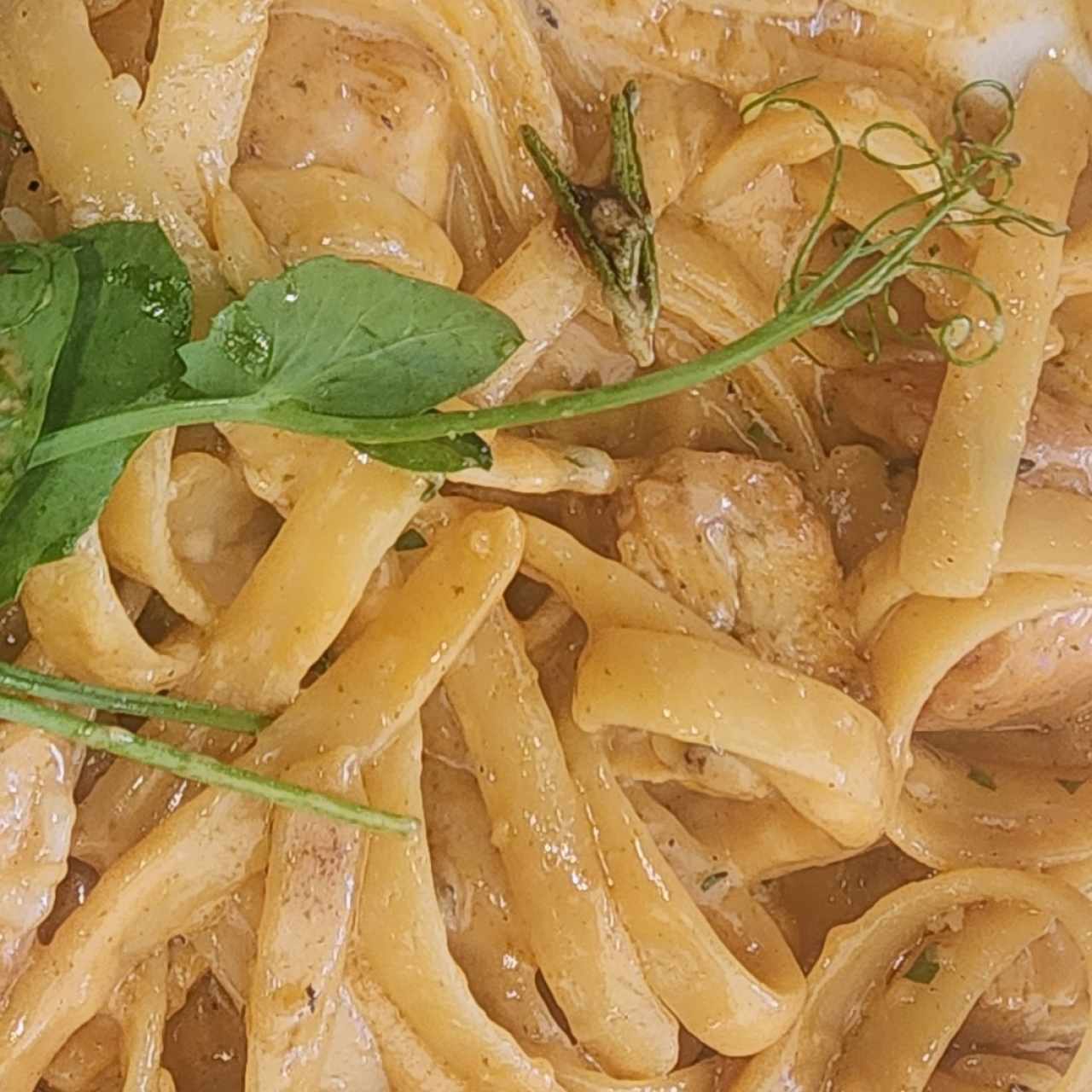 Alfredo con Pollo