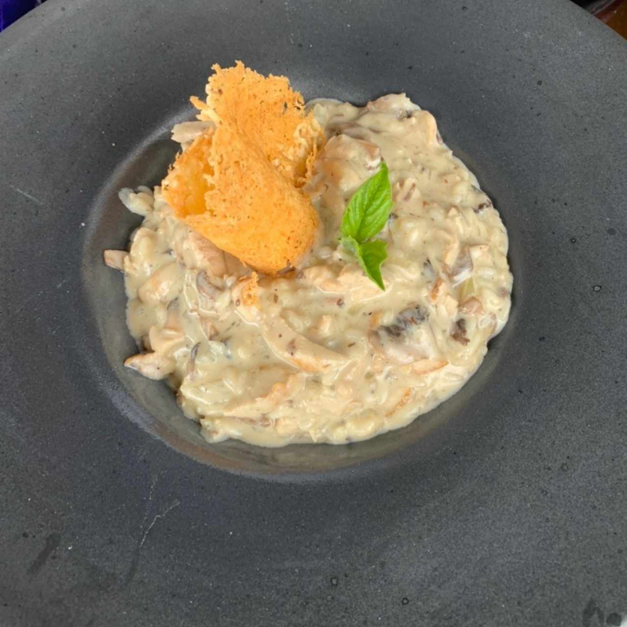 Risotto pollo y champiñones 