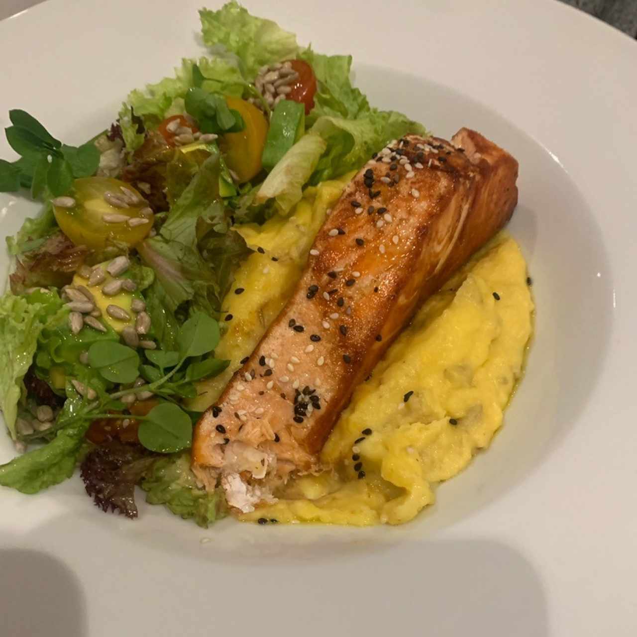Salmon 