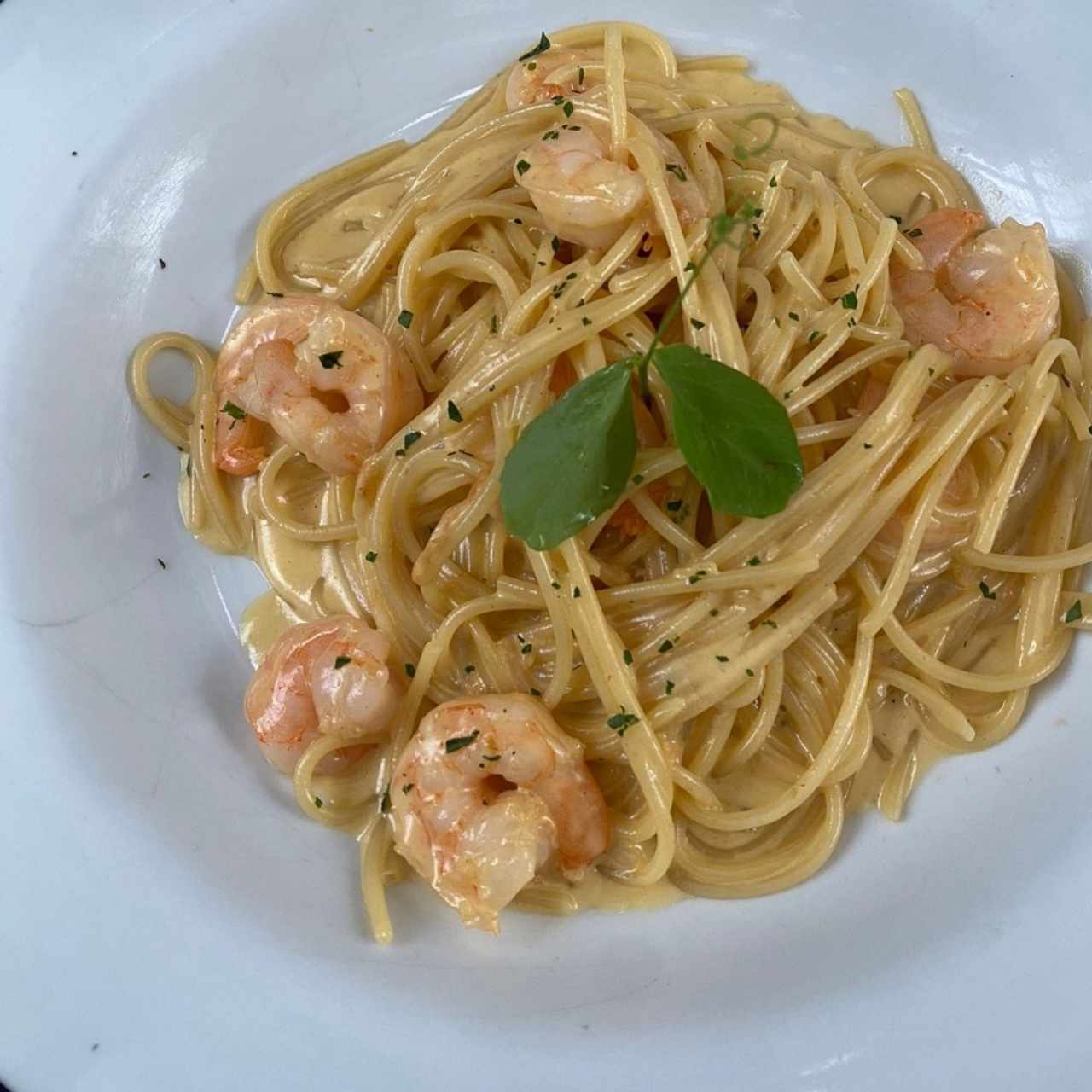 Pasta Alfredo con Camarones