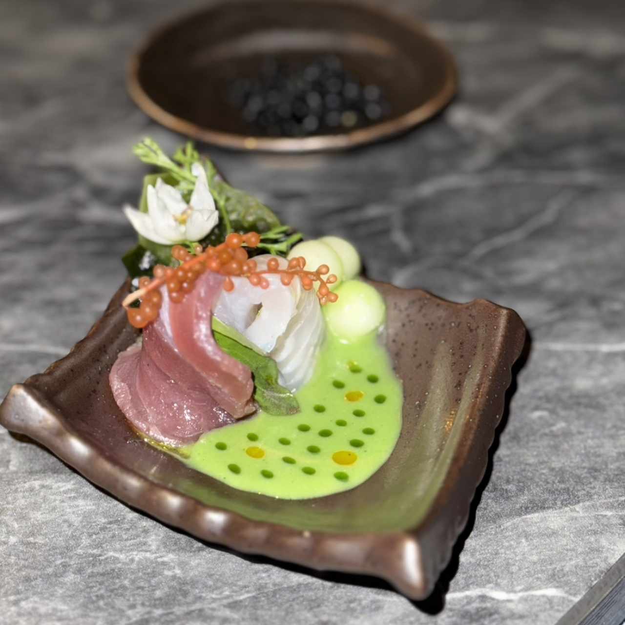 Atun y Pescado con Caviar en tinta negra