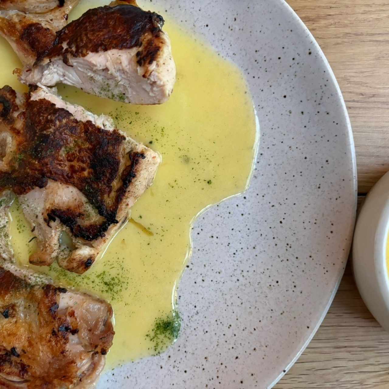 Pollo