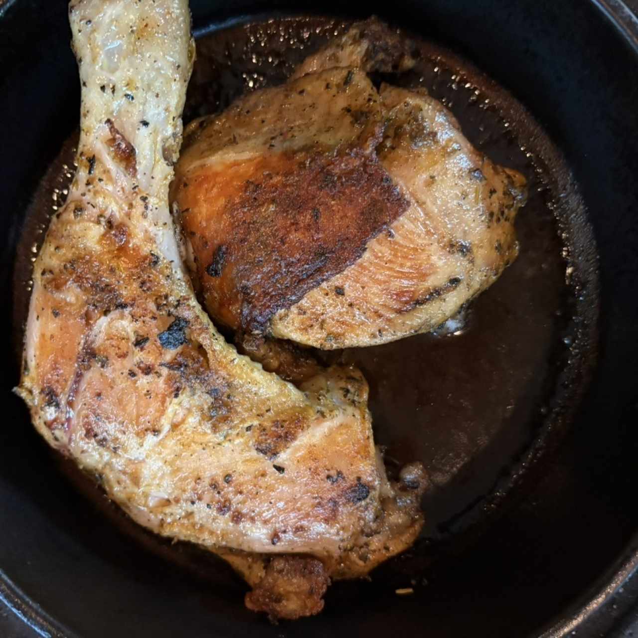Pollo
