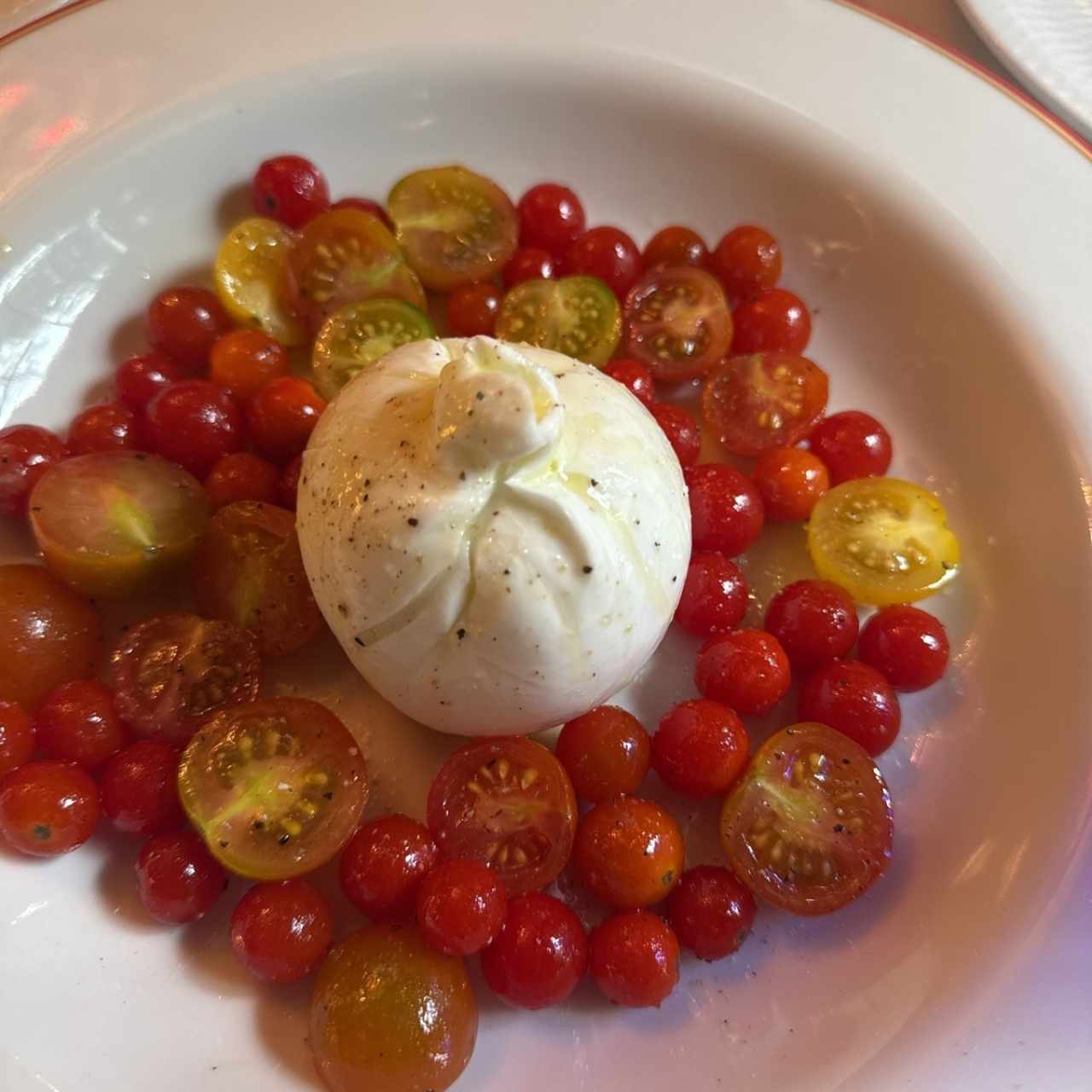 Burrata 
