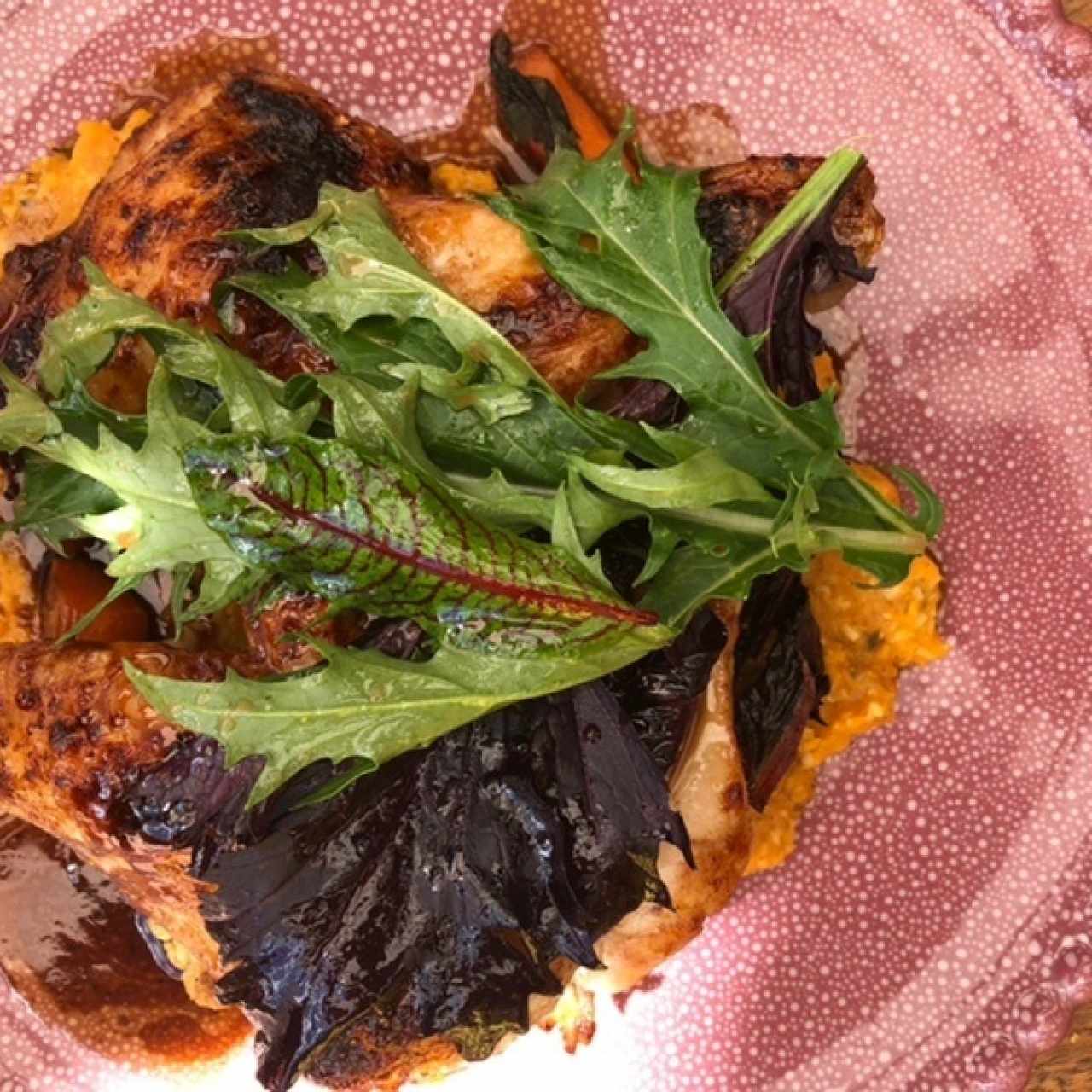 Pollo