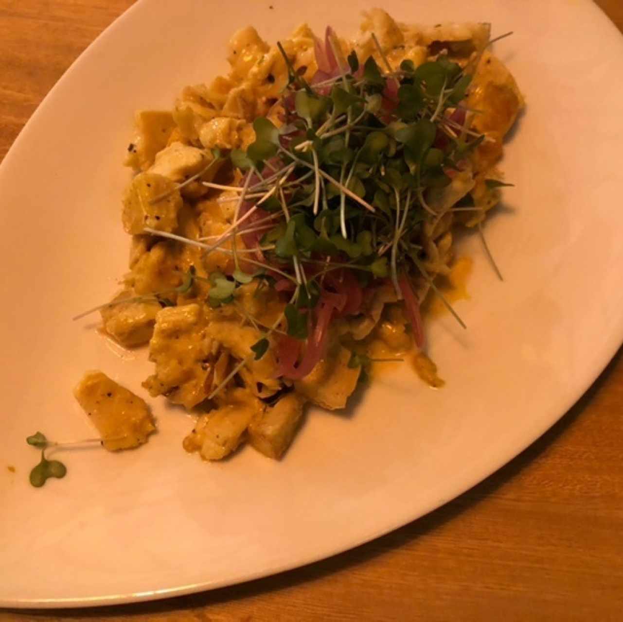 Pollo 