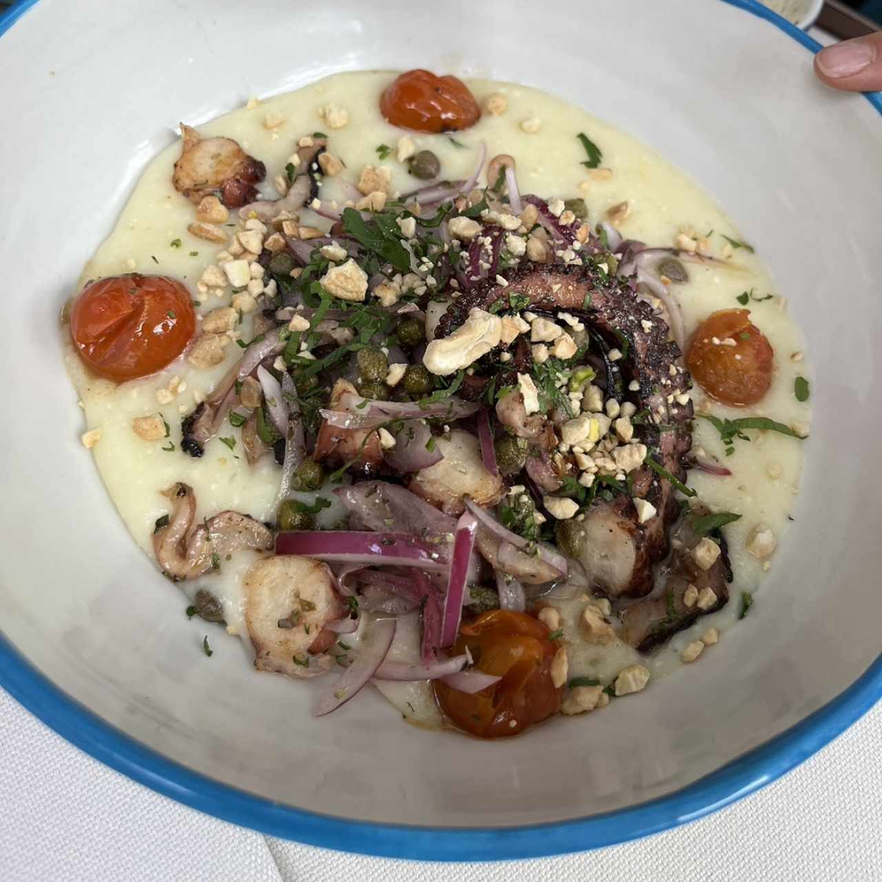 Pulpo