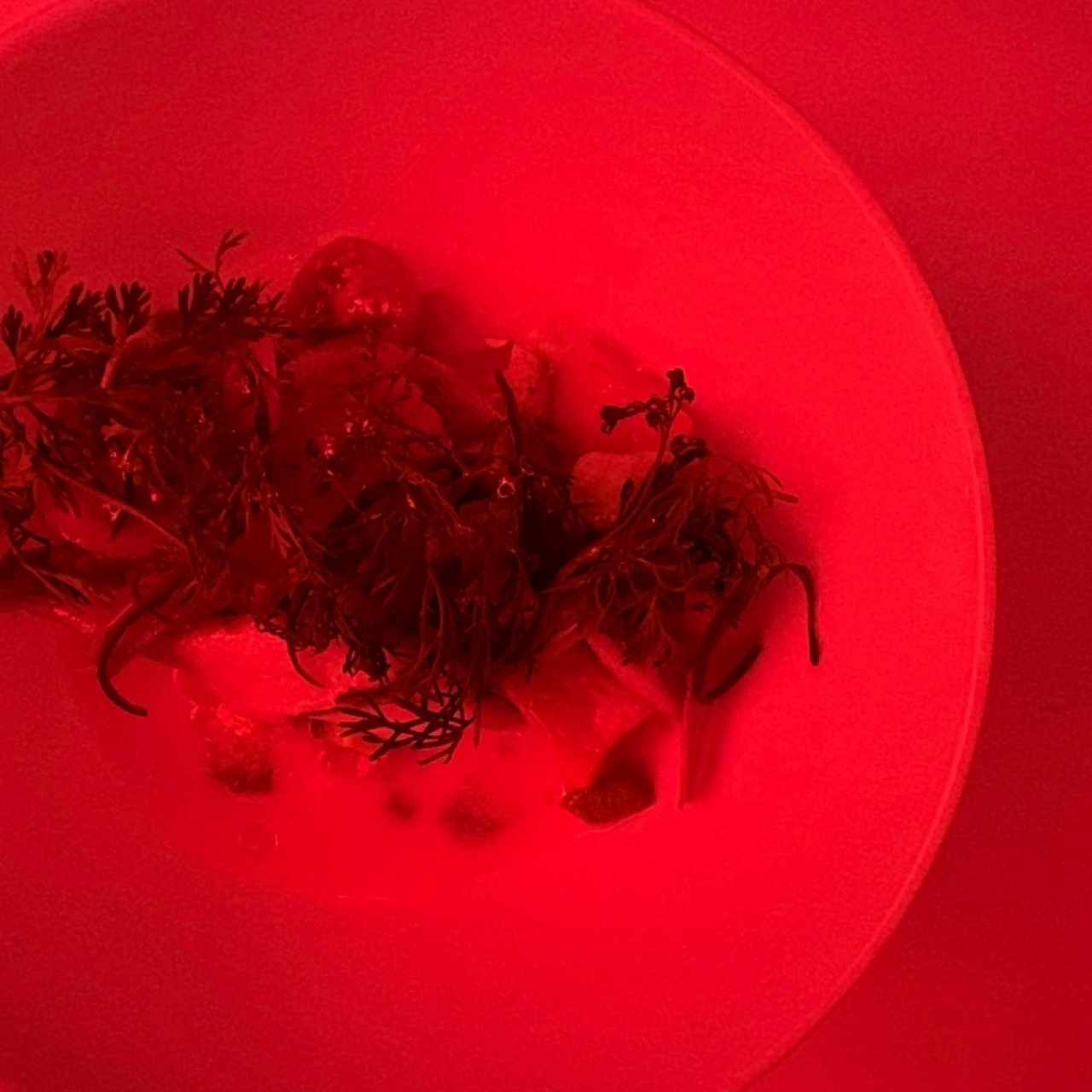 Ceviche de vegetales 