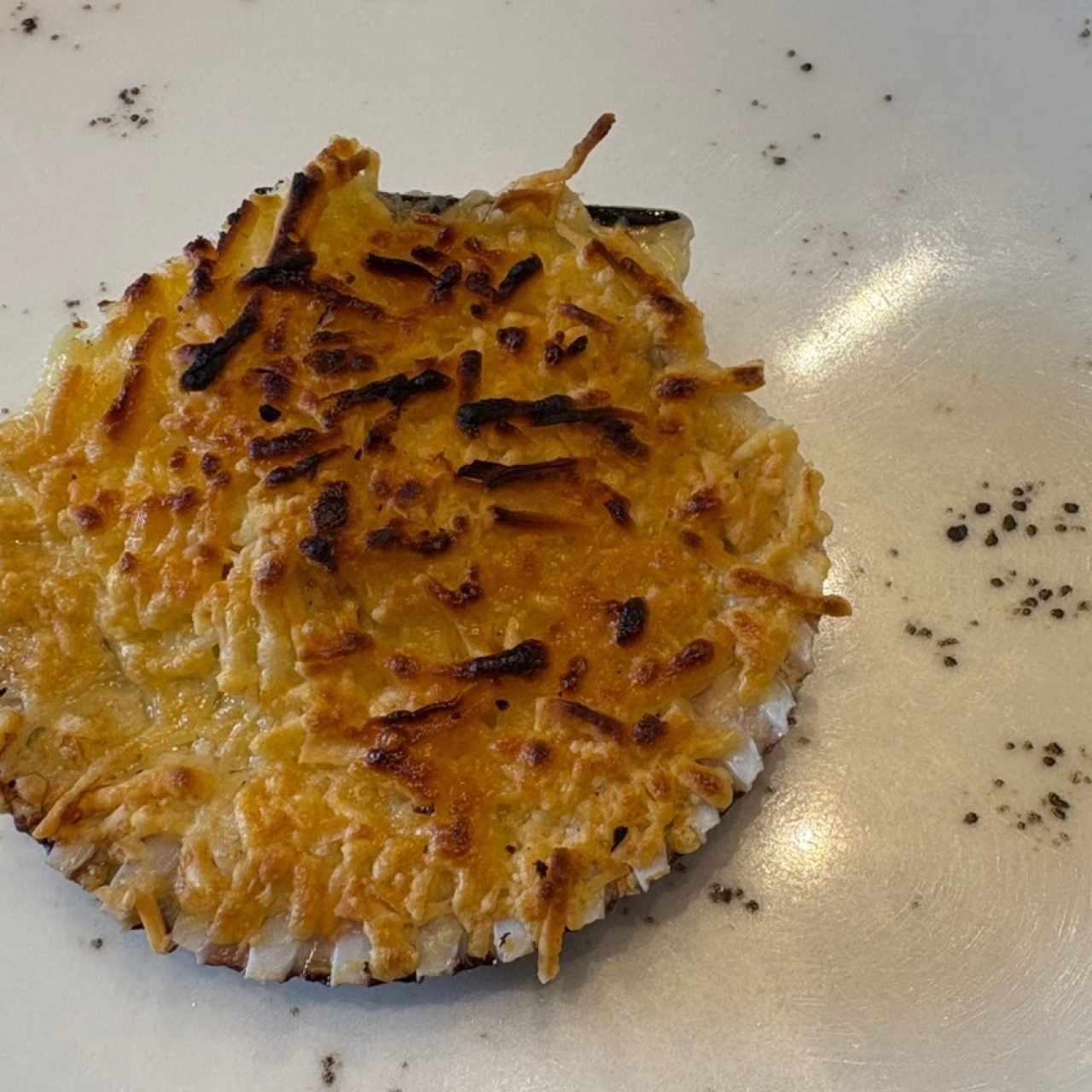 Concha parmesana