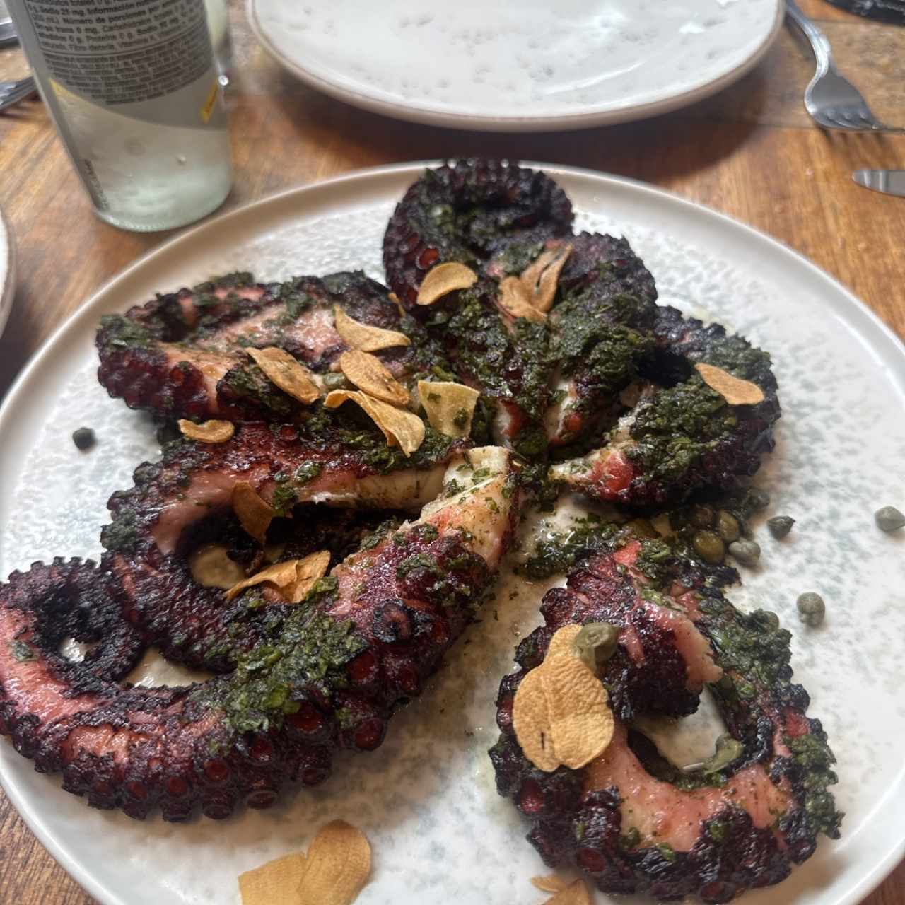 Pulpo gigante