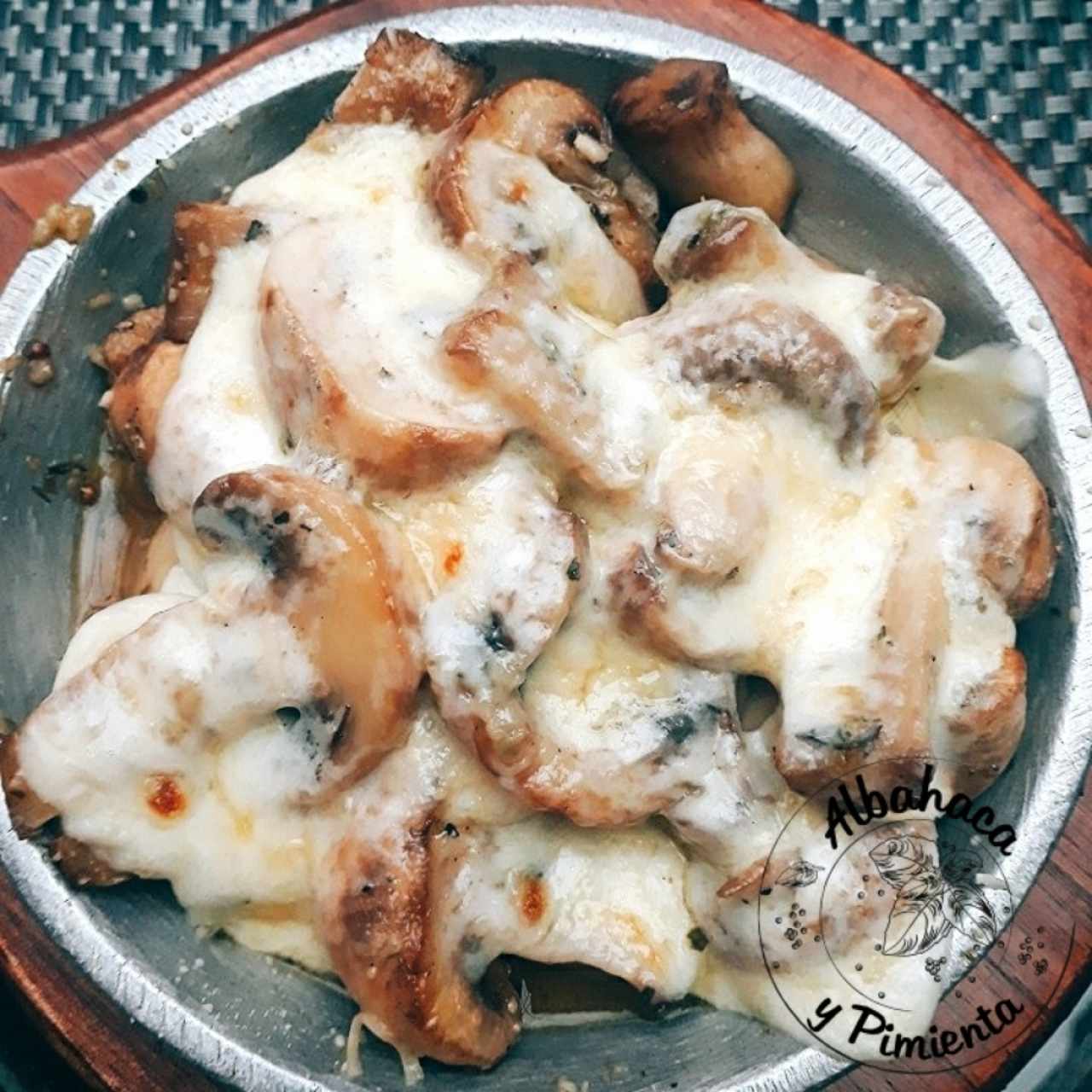 Cacerola de champiñon
