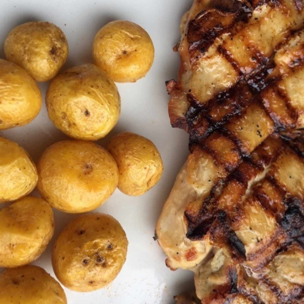 Pollo