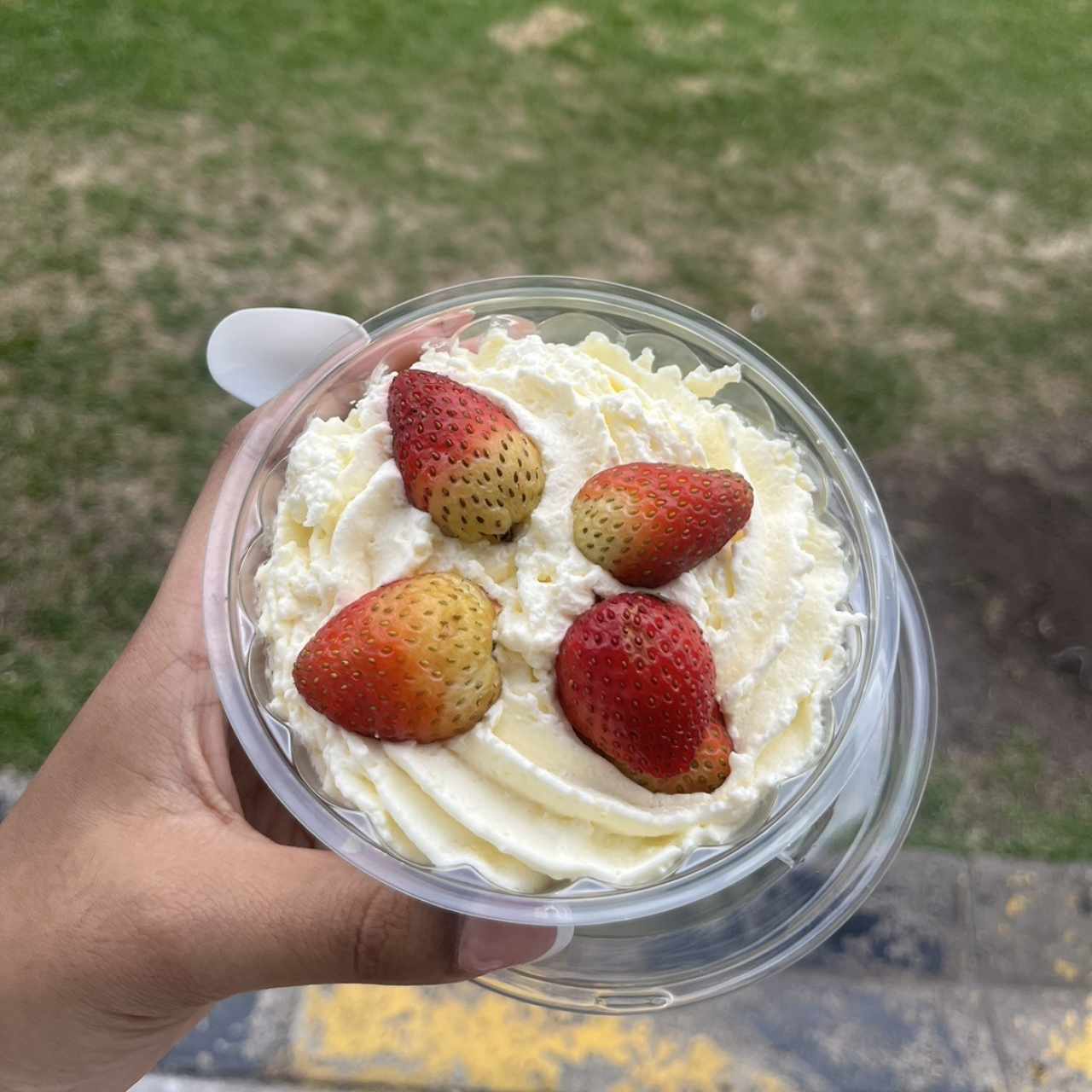 Fresas con crema