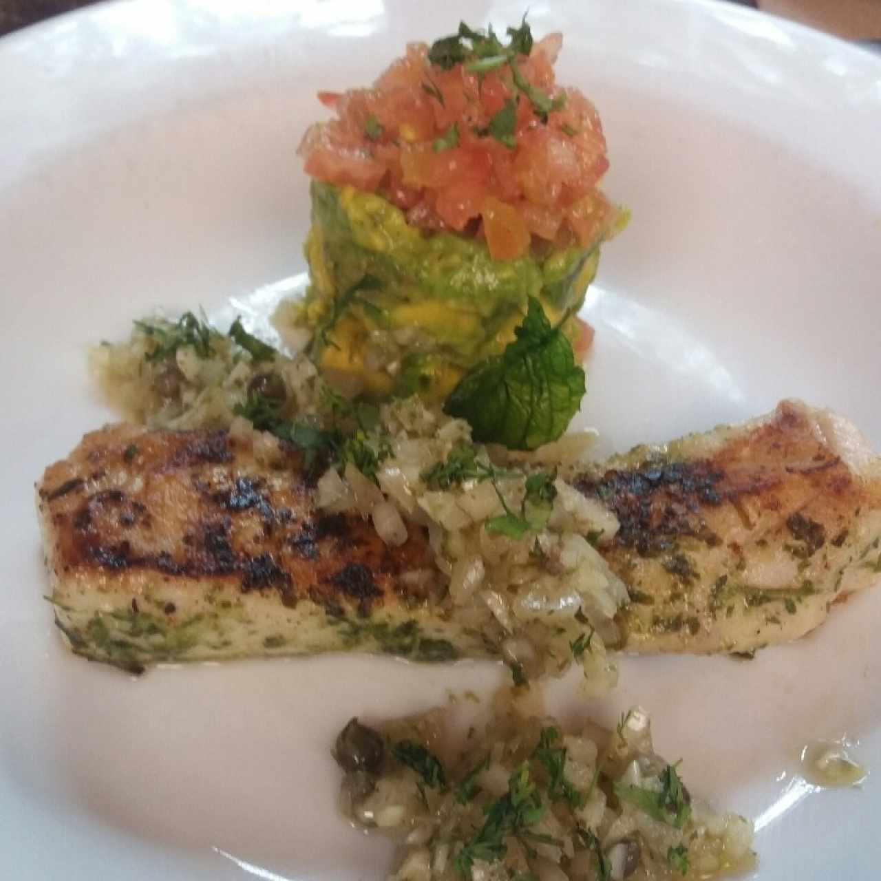 Corvina latina.
