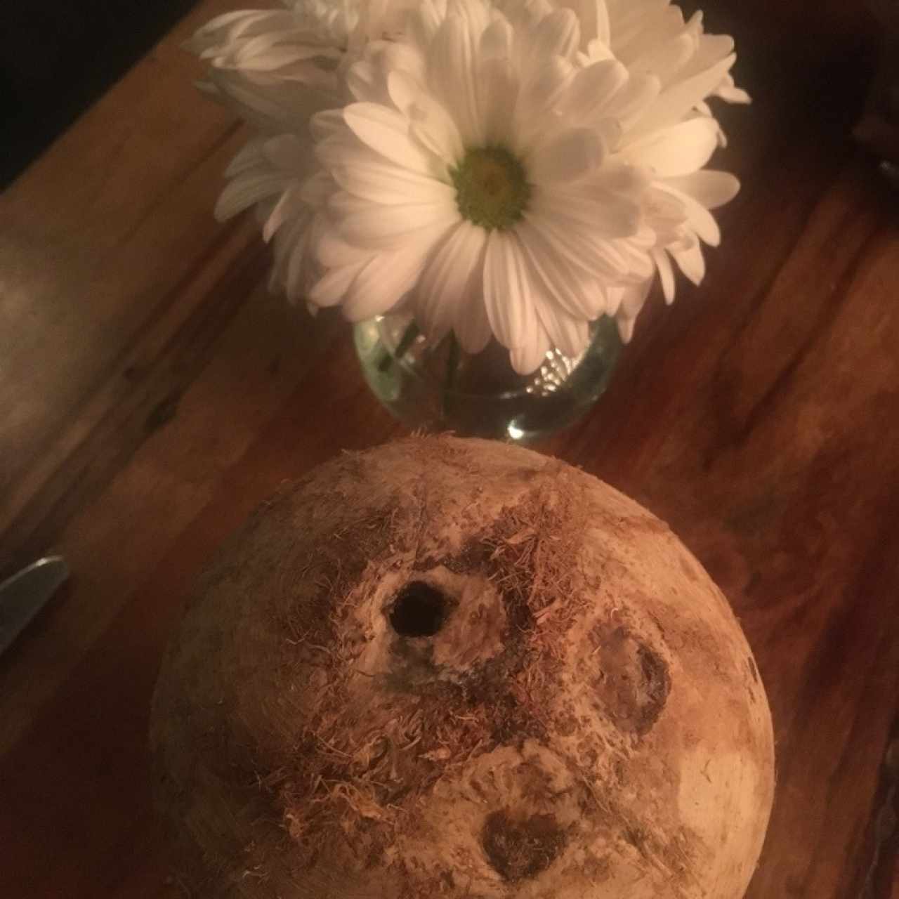aguita de coco