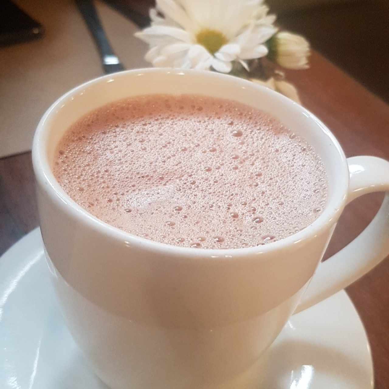 chocolate 