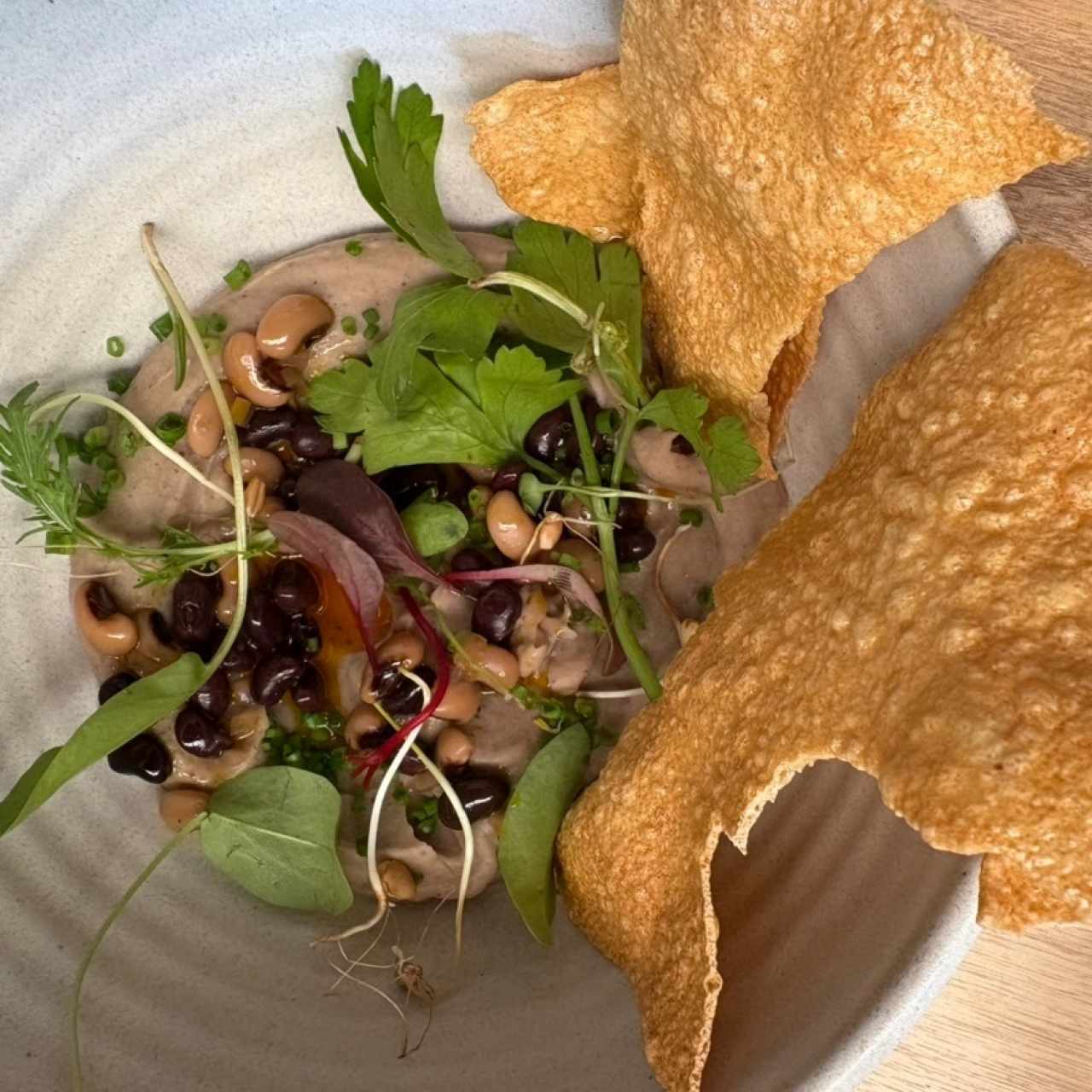 Hummus de frijoles 