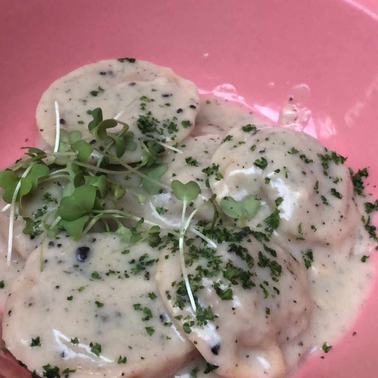 raviolis de conejo 