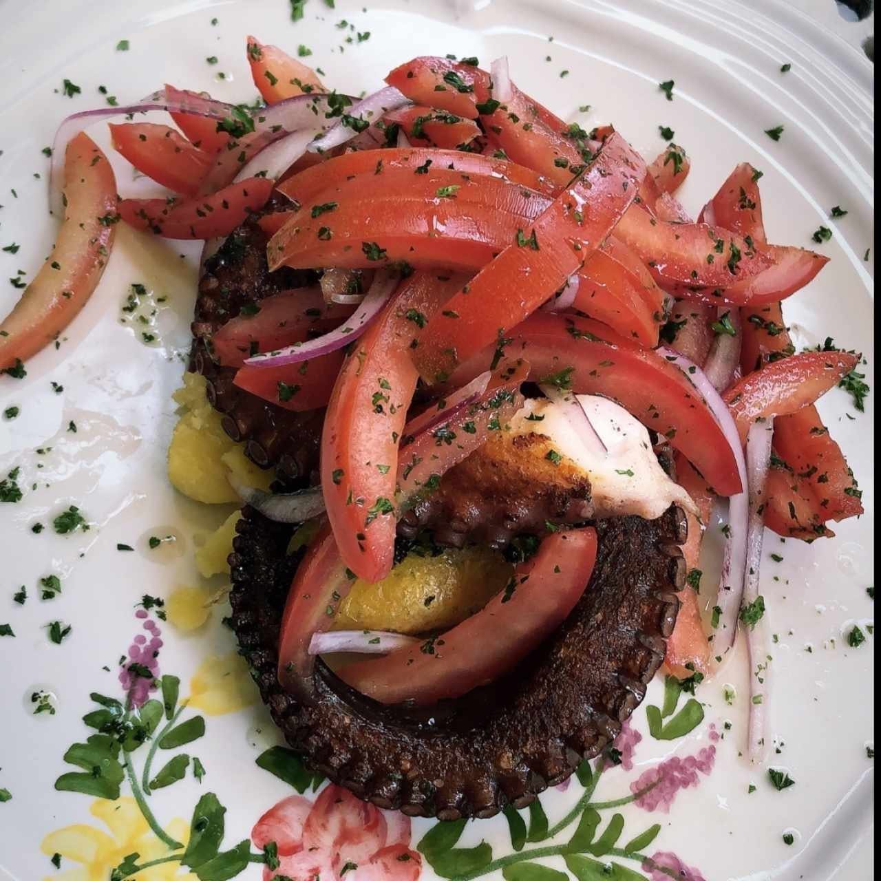 Pulpo