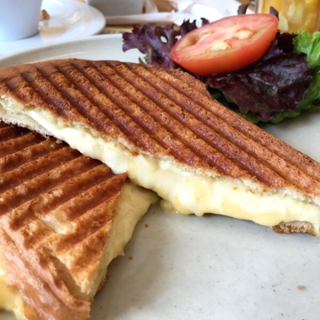 Grilled cheese sandwich