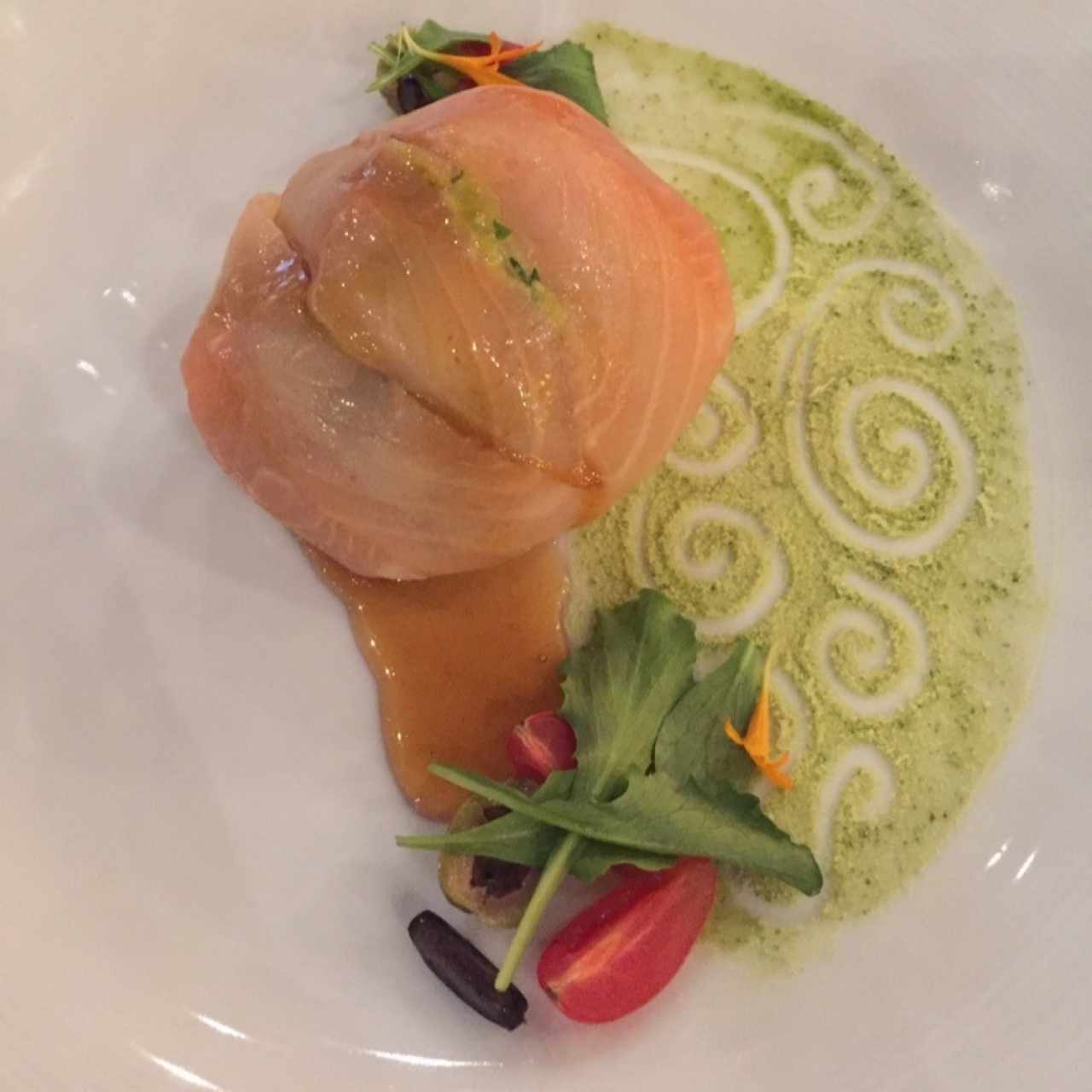 Salmon 