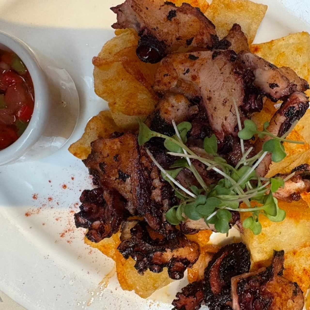 Pulpo 