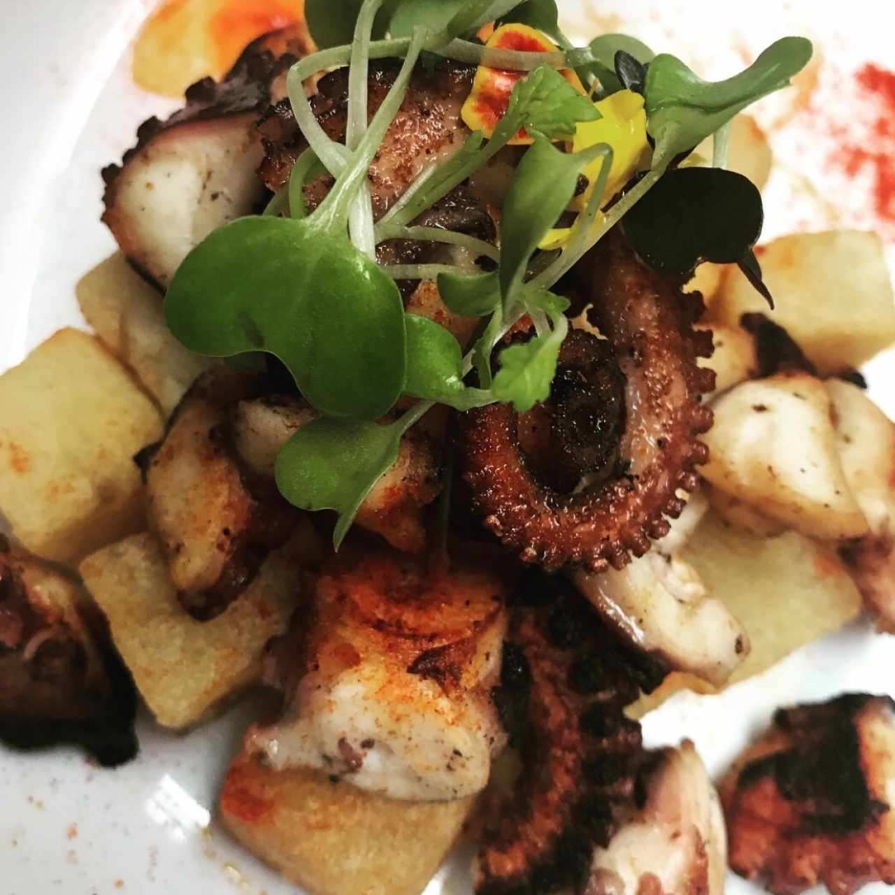 pulpo